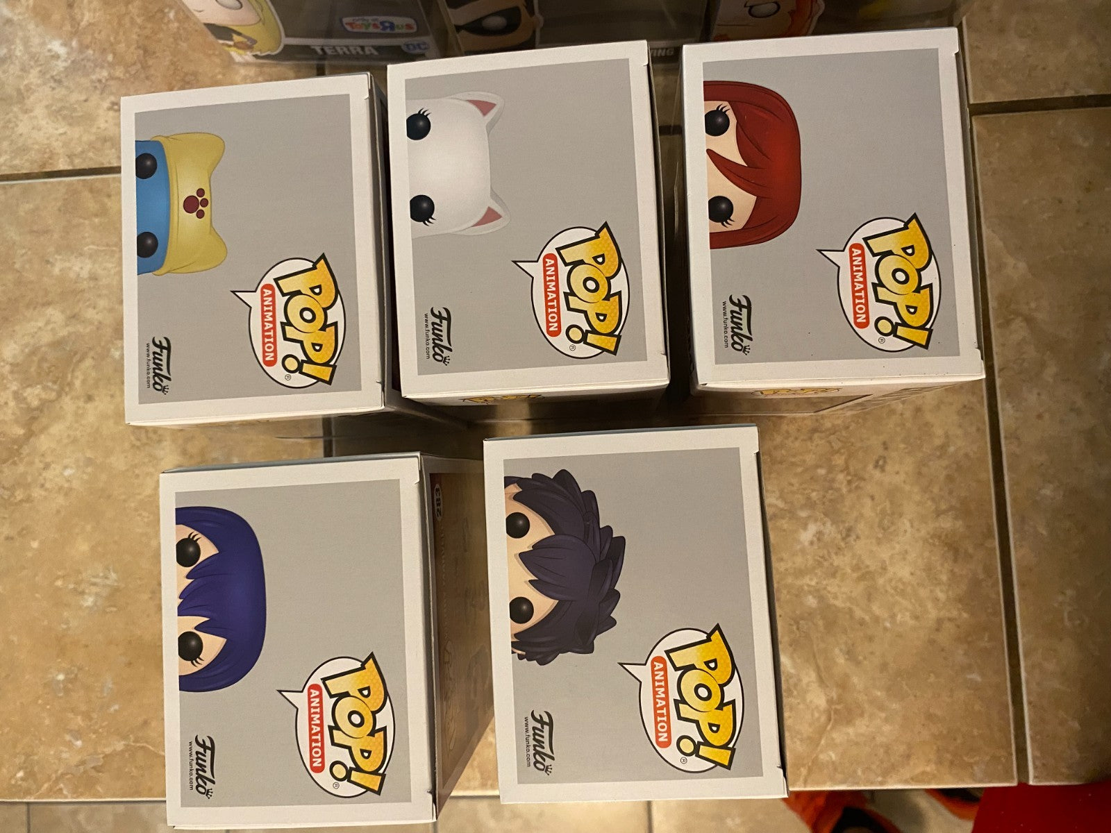 Funko Pop Complete Fairy Tail of 5 #282 thru #286 Gray, Wendy, Ezra, Carla, Swim