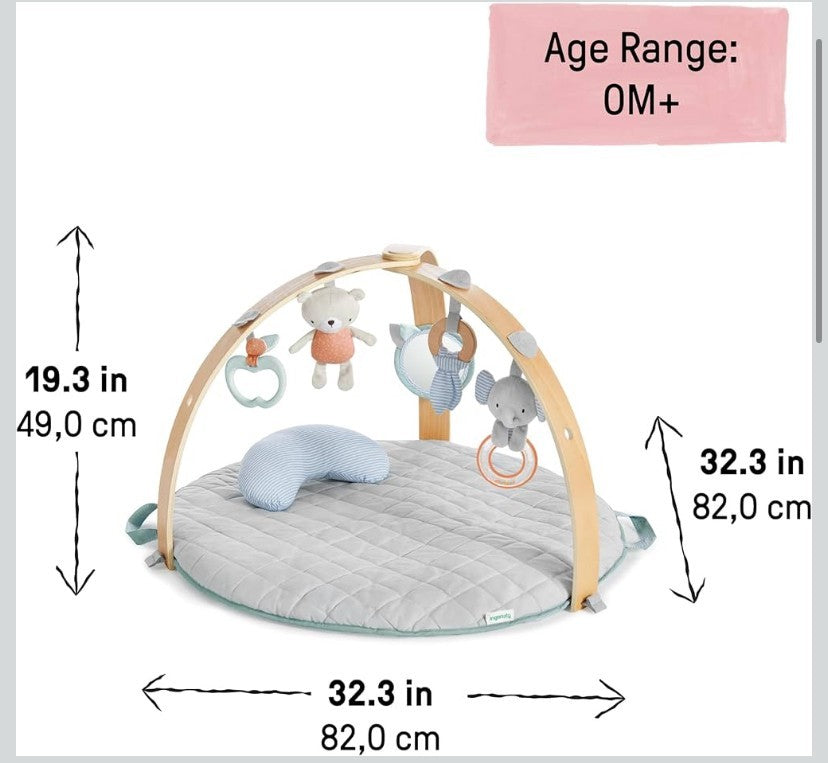 Ingenuity Cozy Spot Reversible Duvet Activity Gym Play Mat Wooden Toy Bar NIB