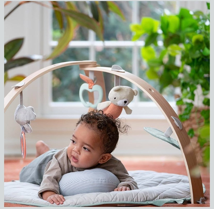 Ingenuity Cozy Spot Reversible Duvet Activity Gym Play Mat Wooden Toy Bar NIB